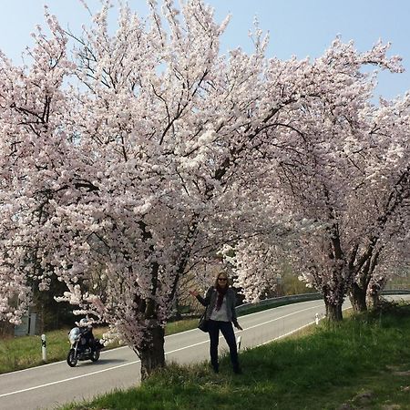 Ferienwohnung Berger Kurparkresidenz บัดแบร์กซาบาร์น ภายนอก รูปภาพ
