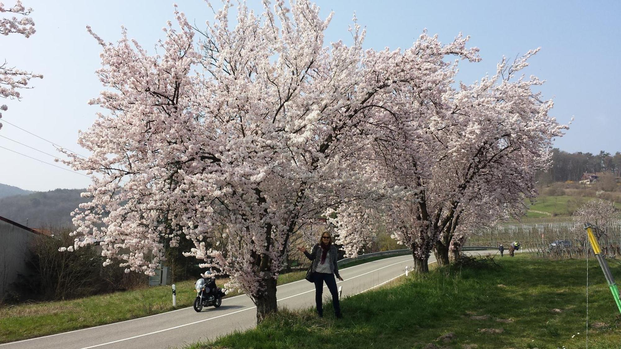 Ferienwohnung Berger Kurparkresidenz บัดแบร์กซาบาร์น ภายนอก รูปภาพ